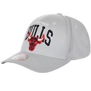 Pet Mitchell And Ness MNNBAINTL597CHIBULGRYOS