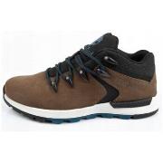 Lage Sneakers Timberland Sprint Trekker