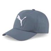 Pet Puma Ess Cap