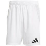 Korte Broek adidas IQ4756