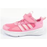 Lage Sneakers adidas Ozelle