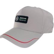 Pet Puma Mercedes Team