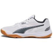 Lage Sneakers Puma Solarflash Ii