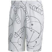 Korte Broek adidas Club Graphic