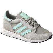 Lage Sneakers adidas Forest Grove W