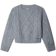 Trui Pepe jeans PG7000010