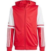 Sweater adidas Squadra 25