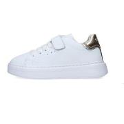 Lage Sneakers Sun68 Z35426K