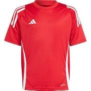 T-shirt Korte Mouw adidas IS1030