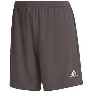 Korte Broek adidas Short Entrada 22