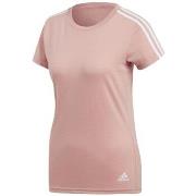 T-shirt Korte Mouw adidas CF8833