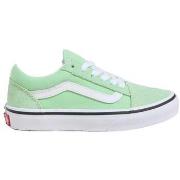 Lage Sneakers Vans Baskets basses Old Skool vert
