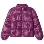 Donsjas Pepe jeans PG4000005 450