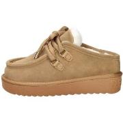 Pantoffels D.Franklin DFSH375005