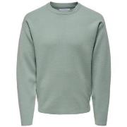 Trui Only &amp; Sons -