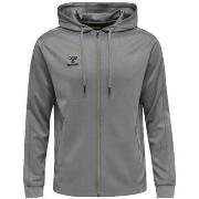 Sweater hummel Sweat à capuche hmlCORE XK