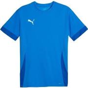 T-shirt Korte Mouw Puma Teamgoal Matchday Jersey