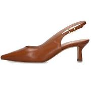 Pumps Andrea Pinto 101