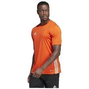T-shirt Korte Mouw adidas T-shirt Tabela 23 orange