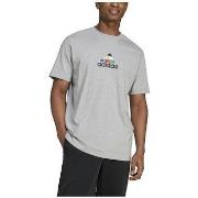 T-shirt Korte Mouw adidas T-shirt House Of Tiro Nations gris