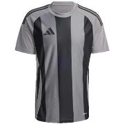 T-shirt Korte Mouw adidas T-shirt Striped 24