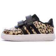 Lage Sneakers adidas -