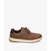 Lage Sneakers Skechers 205234