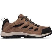 Wandelschoenen Columbia Crestwood