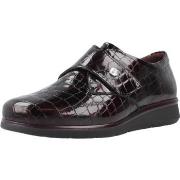 Nette schoenen Pitillos 10714P