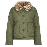 Windjack Noisy May NMHOLLY