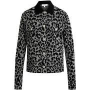 Vest Morgan 252-MBOLEO