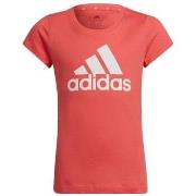 T-shirt Korte Mouw adidas HE1979