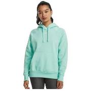 Sweater Under Armour Sweat à capuche Rival Fleece Hoodie