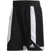 Korte Broek adidas Creator 365