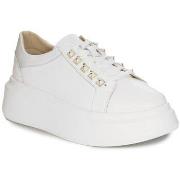 Lage Sneakers Artiker 54C1853