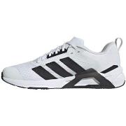 Lage Sneakers adidas JS3118