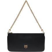 Handtasje Pinko HORIZONTAL FLAT VITELLO SETA 102747 A0F1