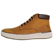 Hoge Sneakers Lumberjack SCOTT SMF3201-001 Camel