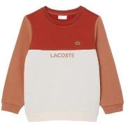 Sweater Lacoste -