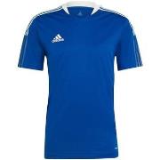 T-shirt Korte Mouw adidas Tiro 21