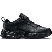 Lage Sneakers Nike 415445-001