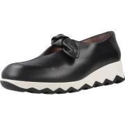 Ballerina's Wonders VELVET