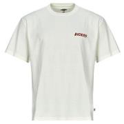 T-shirt Korte Mouw Dickies DRY RIDGE SS TEE EGRET