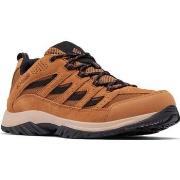 Lage Sneakers Columbia Meskie Crestwood