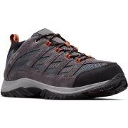 Wandelschoenen Columbia Crestwood