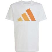 T-shirt Korte Mouw adidas J Bl Tee 160