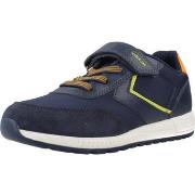 Lage Sneakers Geox J ALBEN BOY
