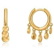 Oorbellen Ania Haie e02303g