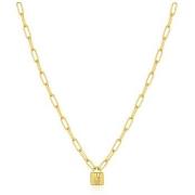 Ketting Ania Haie n03201g