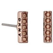 Oorbellen Dkny 5520082